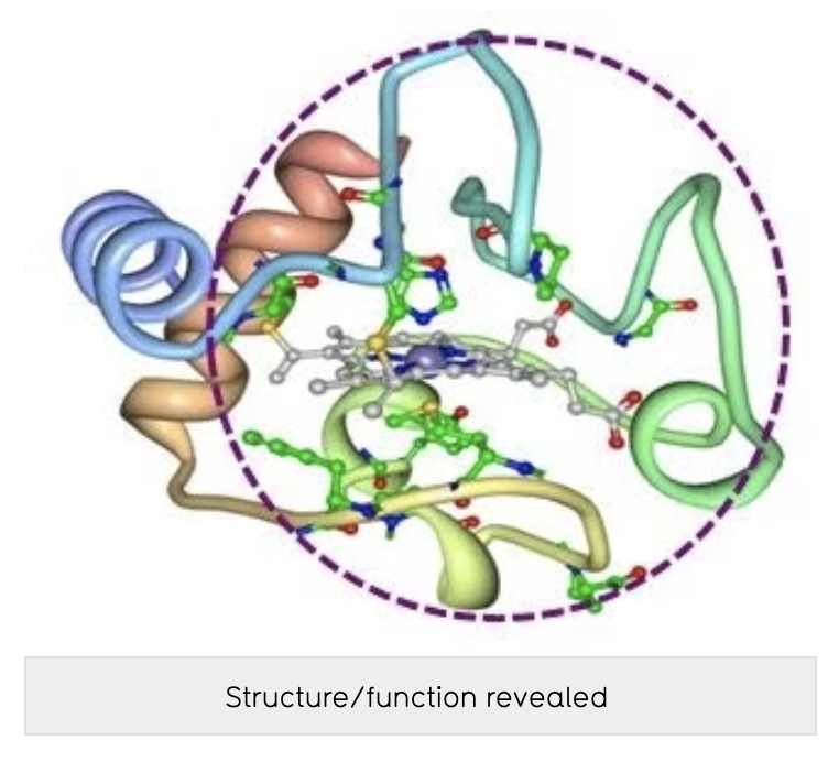 Alignment clustering to reveal functionality in biosequences: WeMine™