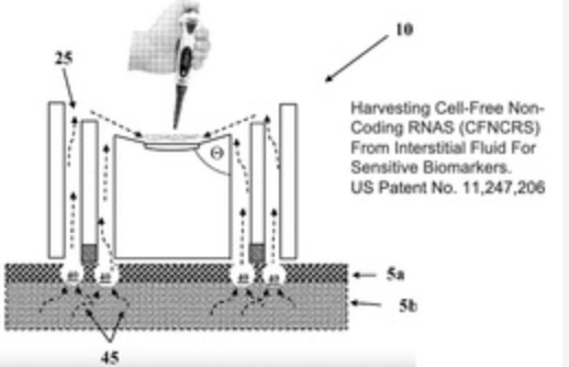 Harvesting miRNAs from Interstitial Fluid for Sensitive Biomarkers