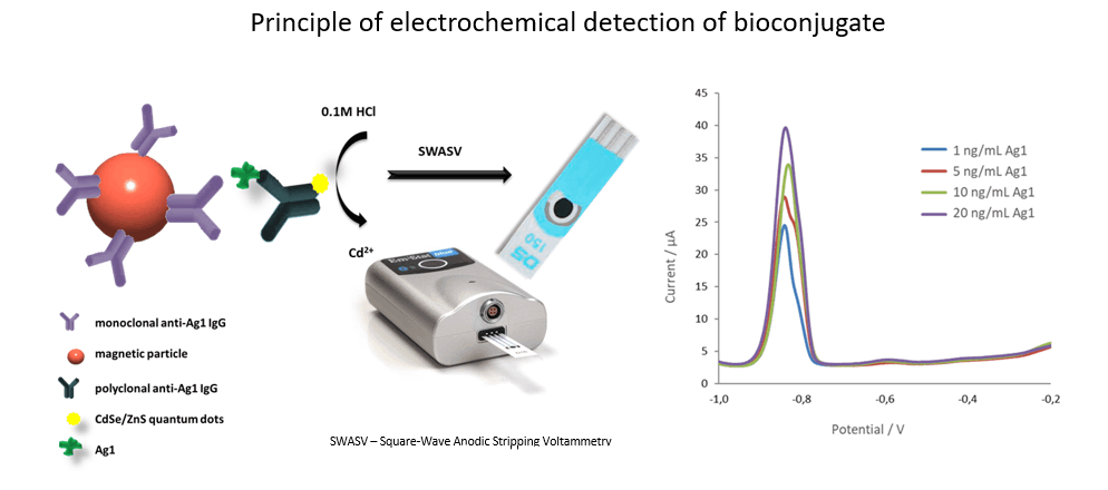 Immunosensor for Detection of Inflammation in Amniotic Fluid