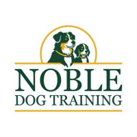 Noble dog Training