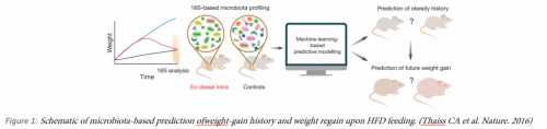 Microbiome-Based Prediction, Diagnosis, and Treatment of Relapsing Obesity