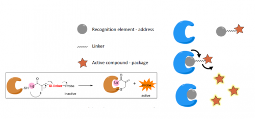 Covalent Chemistry Platform for Diagnostics and Drug Discovery