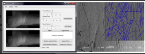Age, growth and feed analysis from teeth images, applicable in palaeontology and the forensic industry