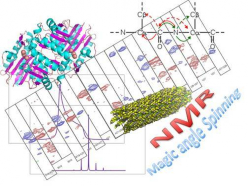 Characterization of organic, inorganic and biological materials by Solid state NMR