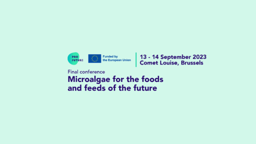 Finale Conference - Microalgae for the Foods and Feeds of the Future by Bridge2Food 2023